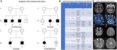 Next-Generation Sequencing Analysis Reveals Novel Pathogenic Variants in Four Chinese Siblings With Late-Infantile Neuronal Ceroid Lipofuscinosis